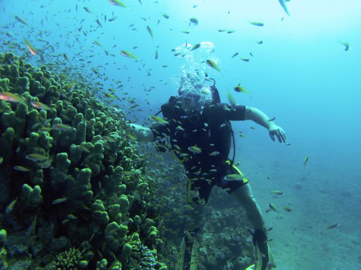     Nautilus-aqaba