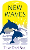 NEW WAVES