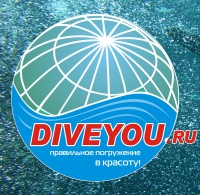 DIVEYOU