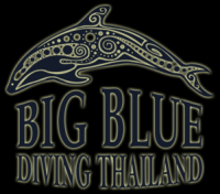 BIG BLUE DIVING