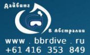  -      - BBRDIVE.RU