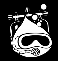 DEEPDIVER