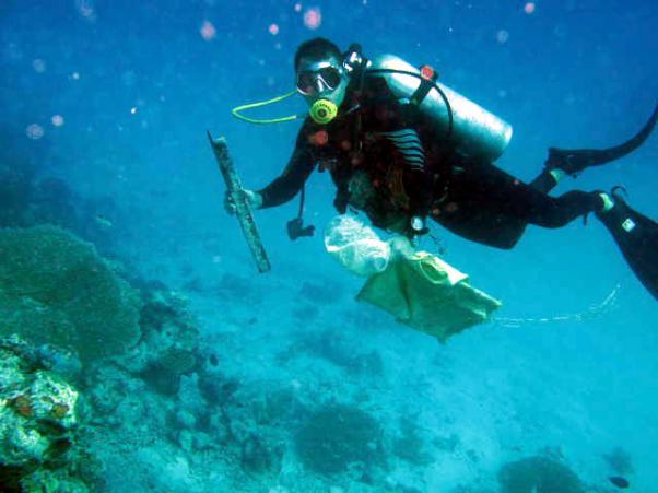 clean the coral reef