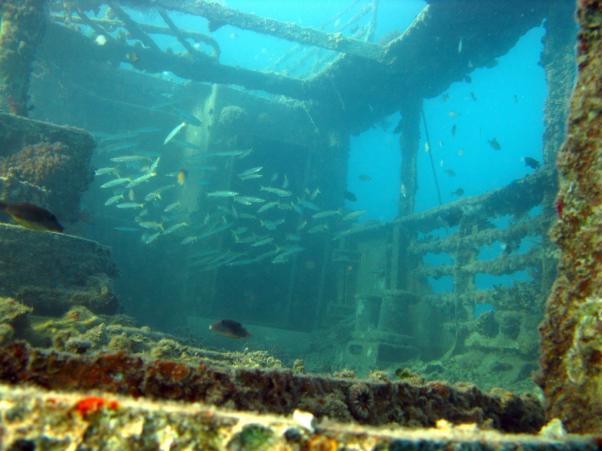 "Balena" wreck