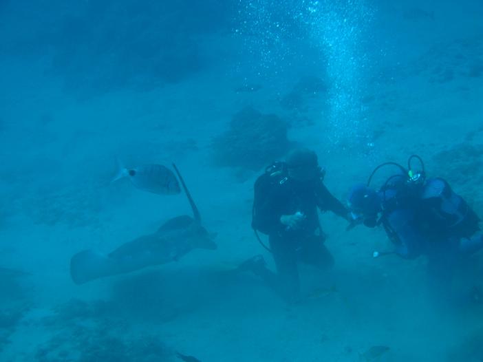 www.dive-man.ru