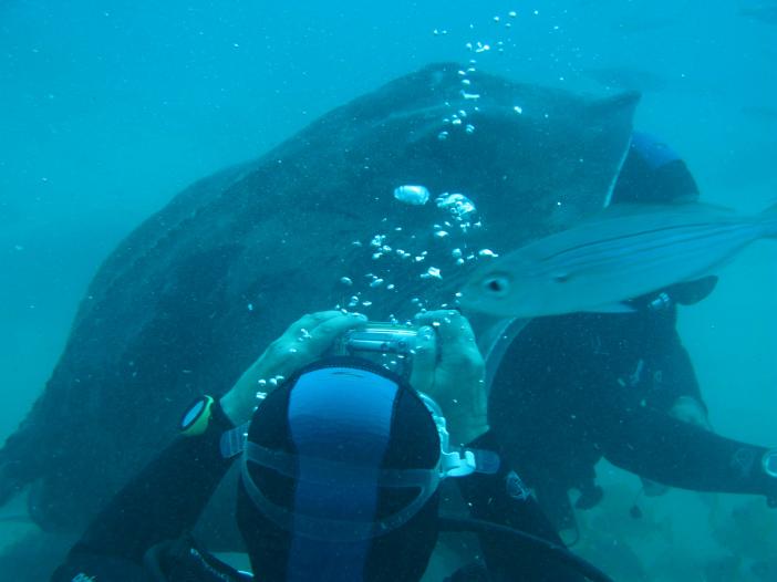 www.dive-man.ru