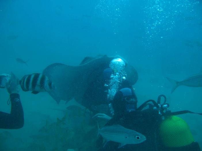 www.dive-man.ru