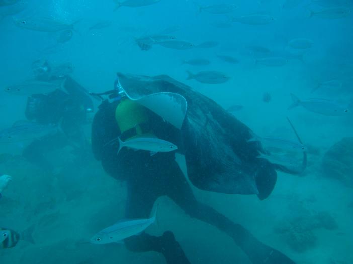 www.dive-man.ru