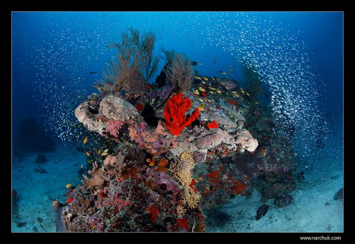 reefscape 2