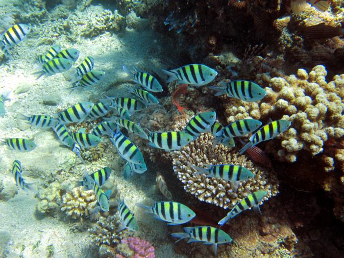 Blue Hole Dahab