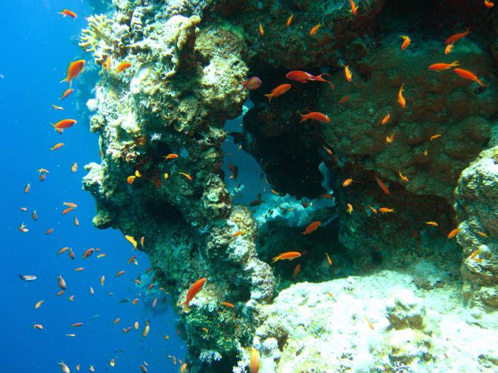 Blue Hole Dahab