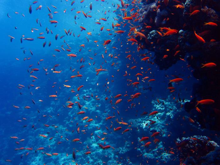 Blue Hole Dahab