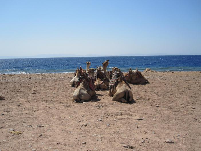 Blue Hole Dahab