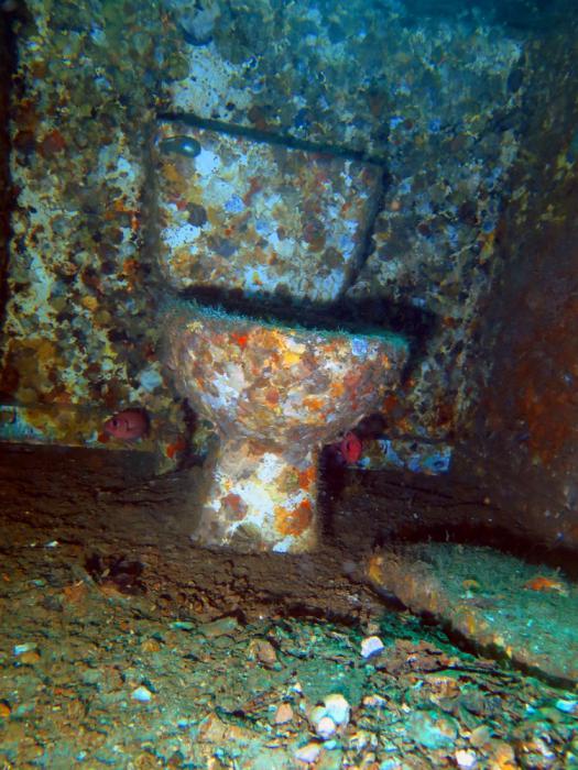    -    http://www.acdcdivingphuket.com/