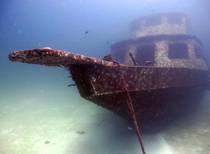    -    http://www.acdcdivingphuket.com/