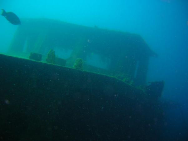  wreck Susanna (     )