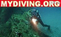 www.mydiving.org