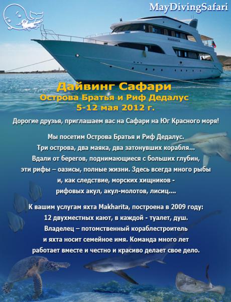 Сафари на Острова Братья и Риф Дедалус